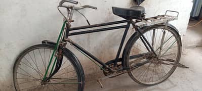 Whatsapp number 03166918282