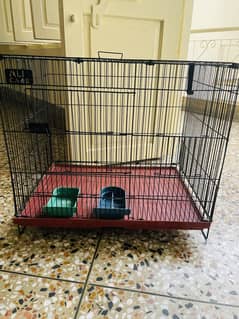Cage for sale