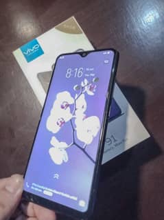 Vivo