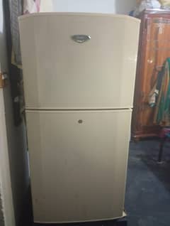 bilkul new used medium