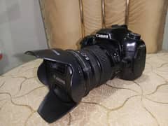 Canon