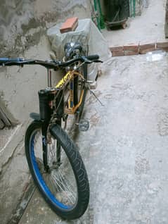 Giant oval cycle for sale 10/10 condition for sale full size cycle