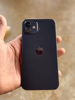 iPhone 12 jv condition 10 by 10