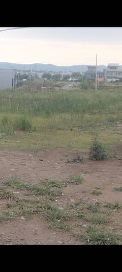 PLAYGROUND FACING IDEAL OPTION