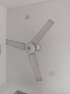 Qazi Fan 03144766396