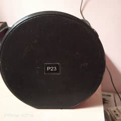 P23