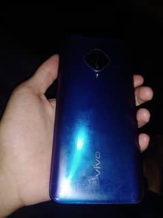 vivo