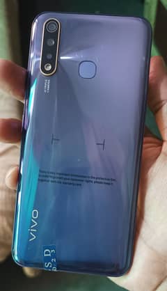 Vivo