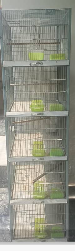 bird cage