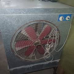 Lahoree cooler