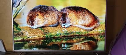 smart lcd 2k 55 inch Ultra Hd Display . Best condition