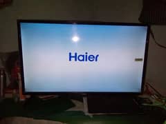 Haier