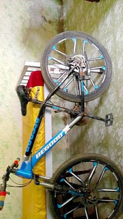 Imported bicycle