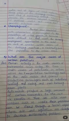 Assignment