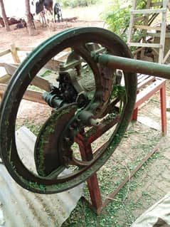 Toka for sell
