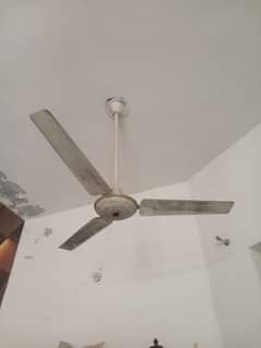 پنکھے