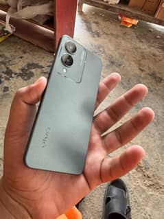 vivo