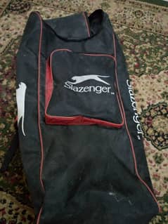 cricket kit in used condition