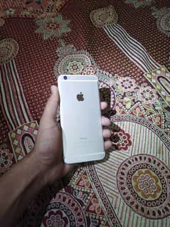 iPhone 6 plus