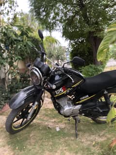 Ybr 125G