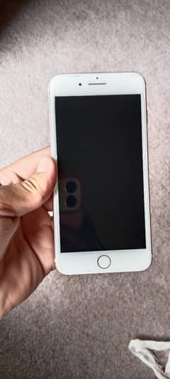 Pta approved 7 plus urgent for sale