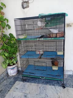 Cage