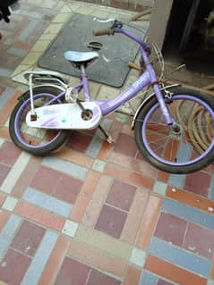 Bicycle