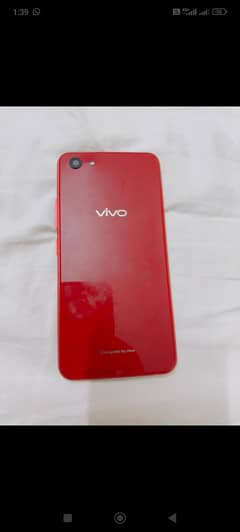 vivo