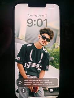 13pro