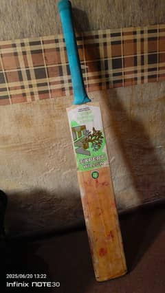 cricket bat