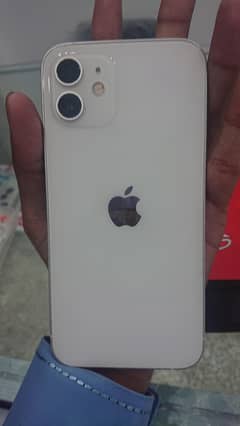I phone 12 pta approved