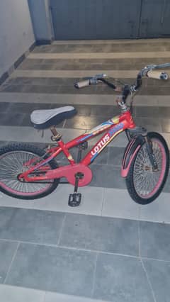 cycle