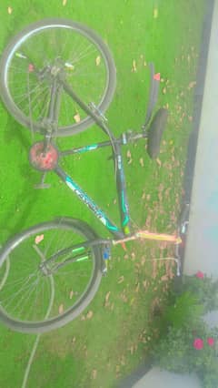 bicycle