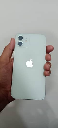 I phone 12