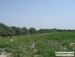 Agriculture Land Thal Dist Bhakkar زرعی رقبہ برائے فروخت