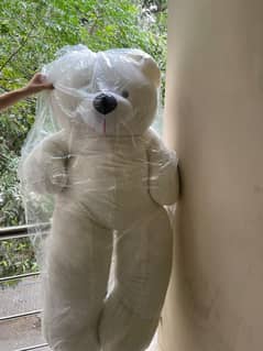 TEDDY BEAR 5.5 FEETS  [ NEW ]