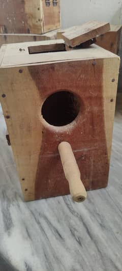 Wooden Box Kikkar For Lovebirds Budgies Cocktail or other birds