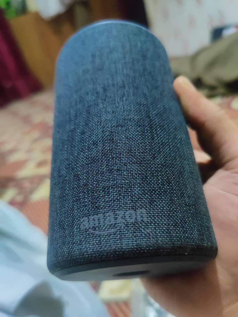 Amazon Alexa (Echo-2) and Google Bluetooth speaker 0