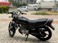 Yama ybr zdx