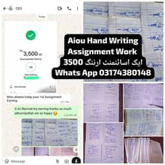 Hand Writing Assignment Work, Data Entry Or Ms Work Available