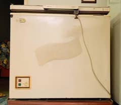 WAVES FREEZER