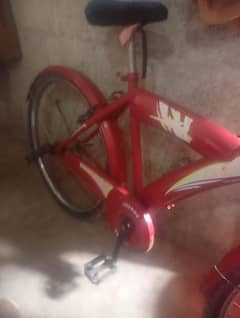 cycle
