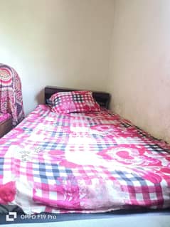 beds single 2