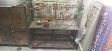 2 cage for sale