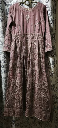 embroidered fancy net frock