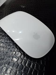 Apple Mouse