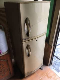 Waves Refrigerator Medium Size
