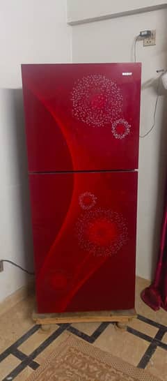 orient glass door medium size 03182281620