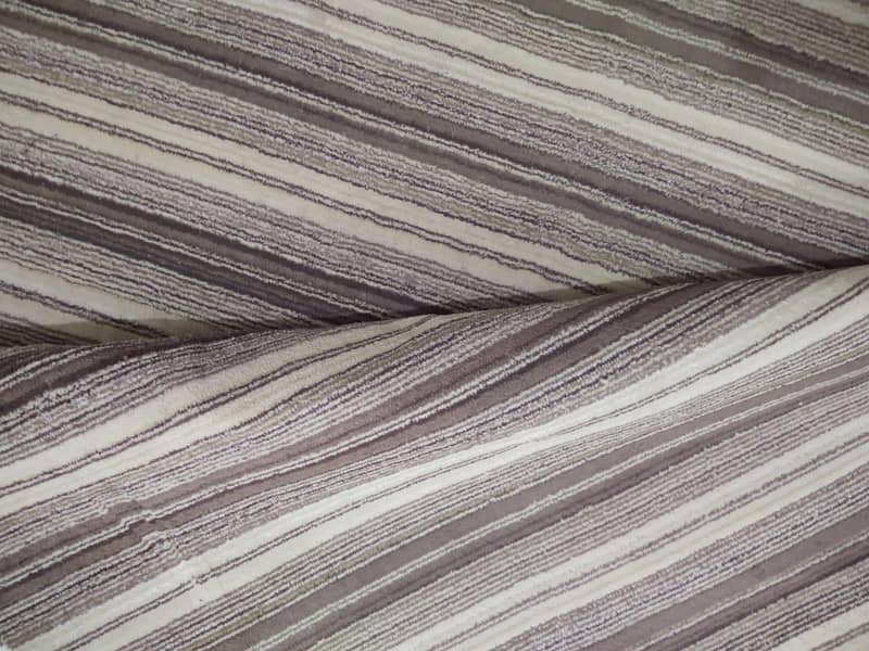 carpet in good & neat condition 2