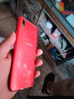vivo